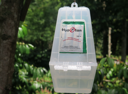Hypotan